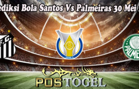 Prediksi Bola Santos Vs Palmeiras 30 Mei 2022