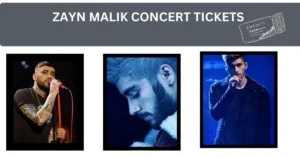 Zayn Malik concert ticket price